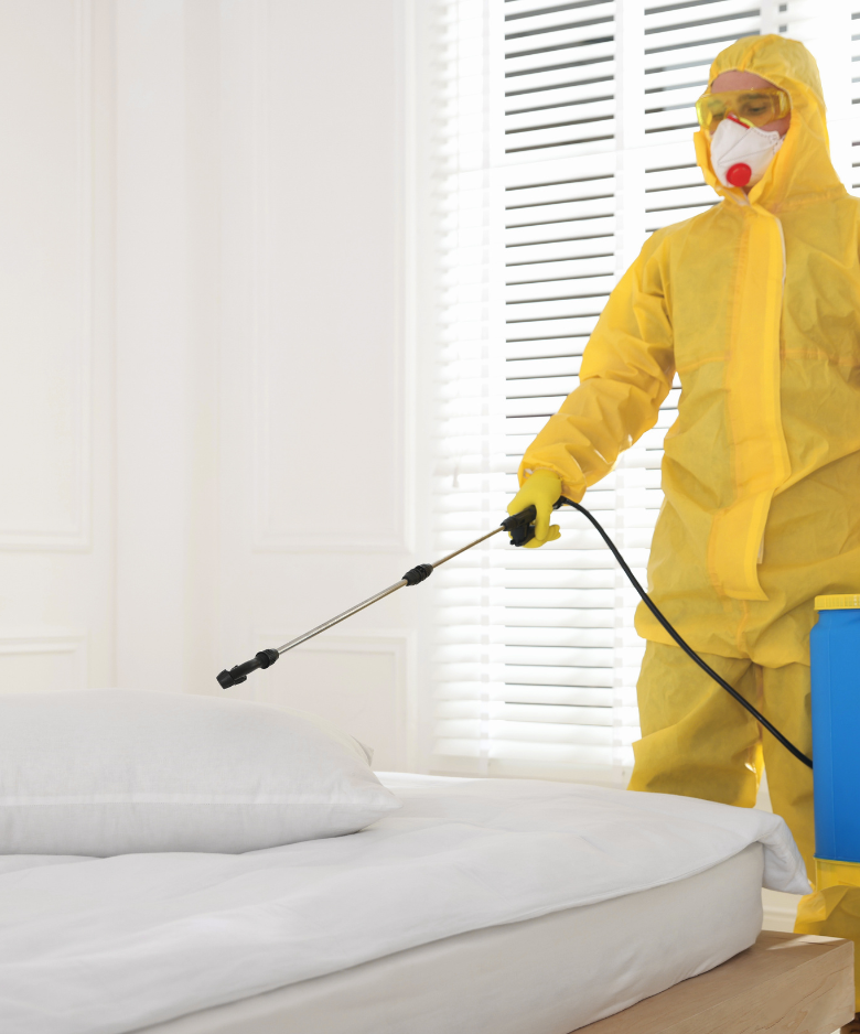 Professional Pest Control Team in Glenelg North